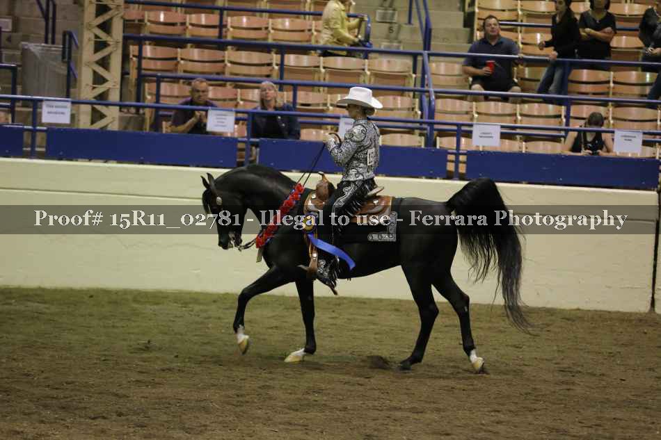 Proof Number 15R11_02781