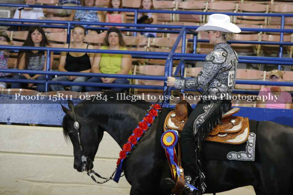 Proof Number 15R11_02784