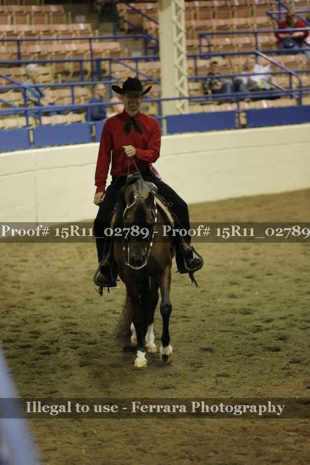 Proof Number 15R11_02789