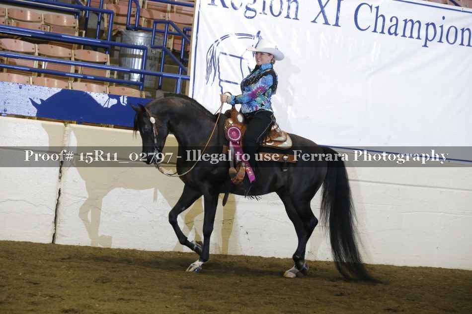 Proof Number 15R11_02797