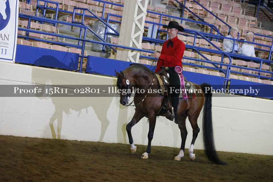 Proof Number 15R11_02801