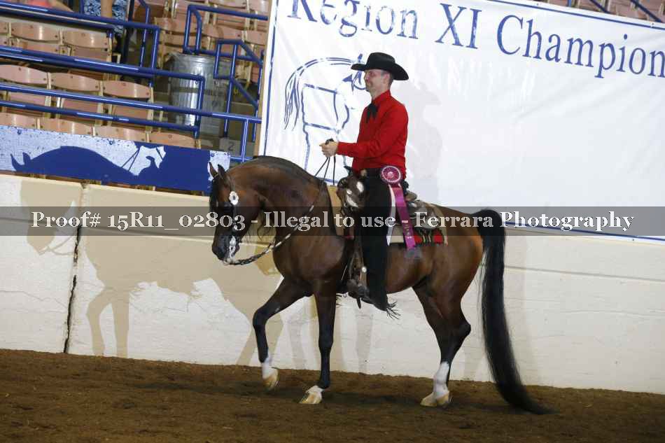 Proof Number 15R11_02803