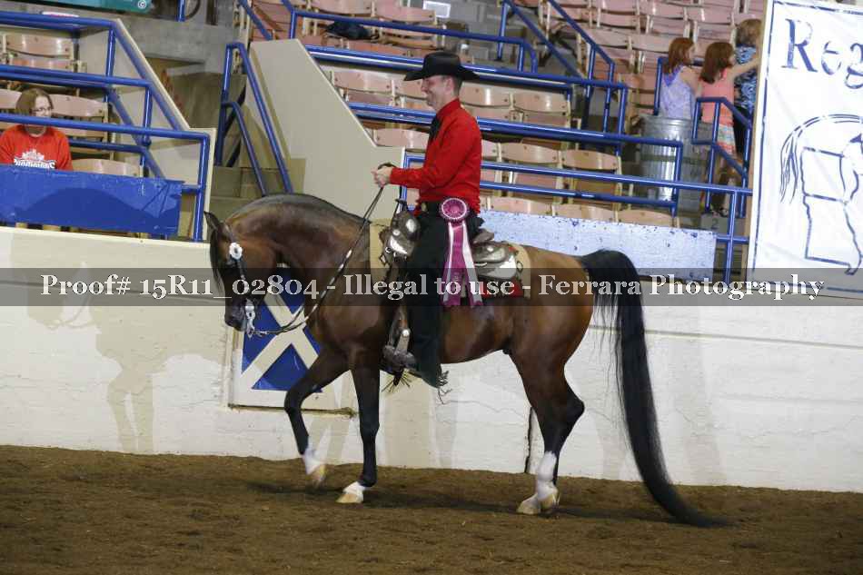 Proof Number 15R11_02804