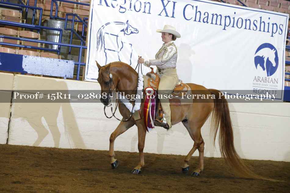 Proof Number 15R11_02808