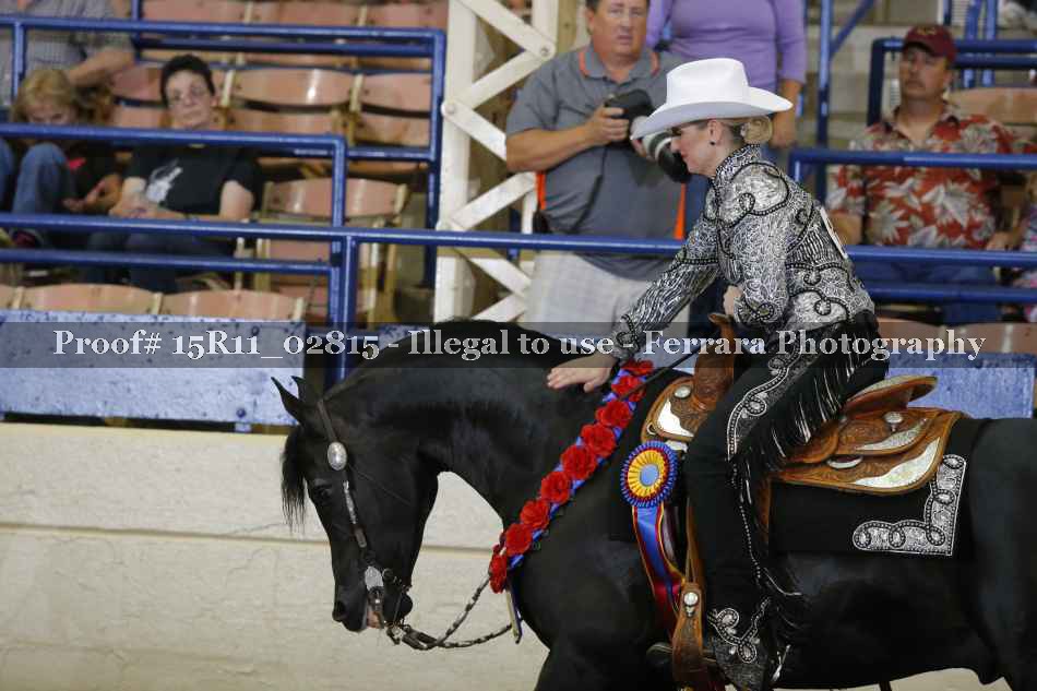 Proof Number 15R11_02815
