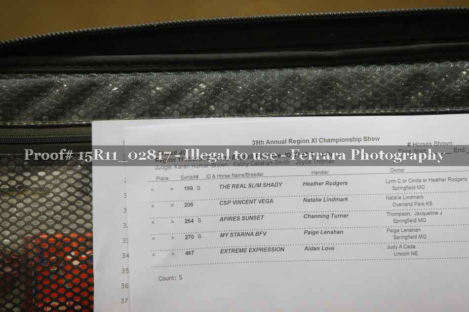 Proof Number 15R11_02817