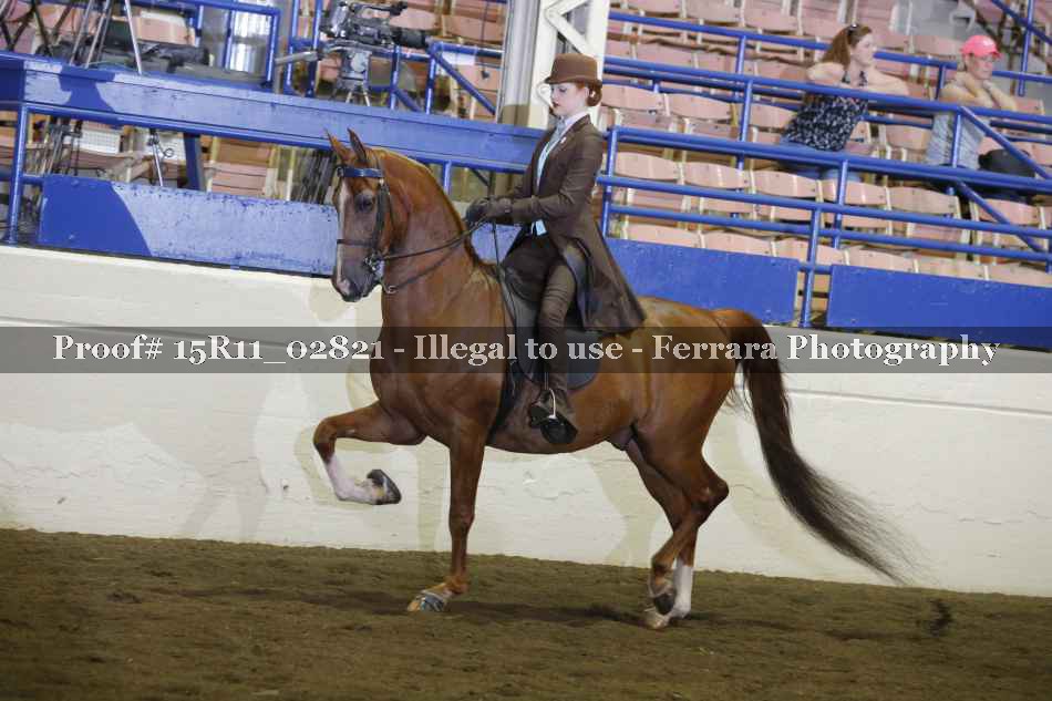 Proof Number 15R11_02821