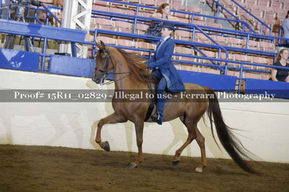 Proof Number 15R11_02829