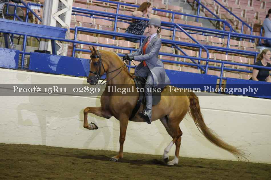 Proof Number 15R11_02830