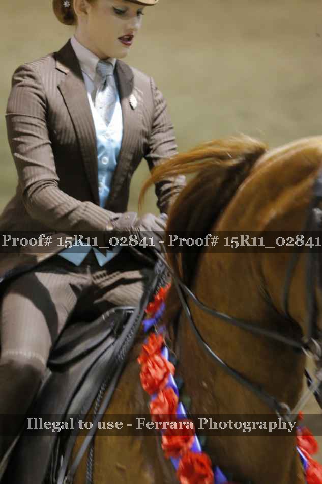 Proof Number 15R11_02841