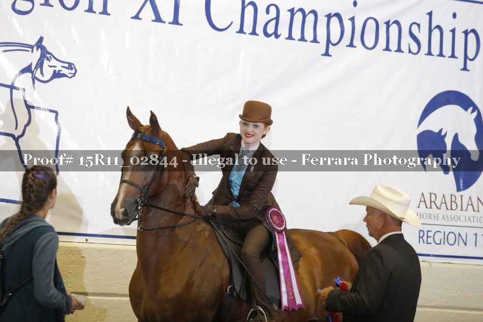 Proof Number 15R11_02844