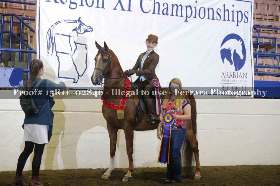 Proof Number 15R11_02846