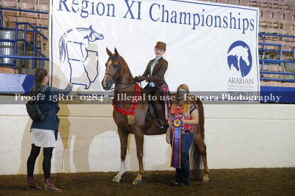 Proof Number 15R11_02847