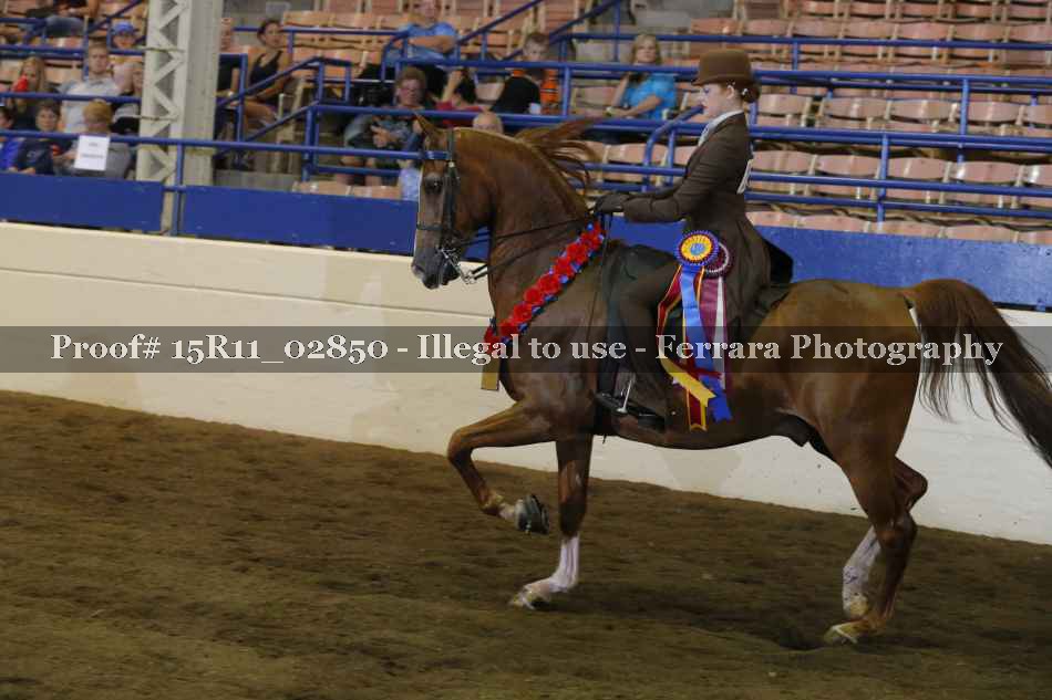 Proof Number 15R11_02850