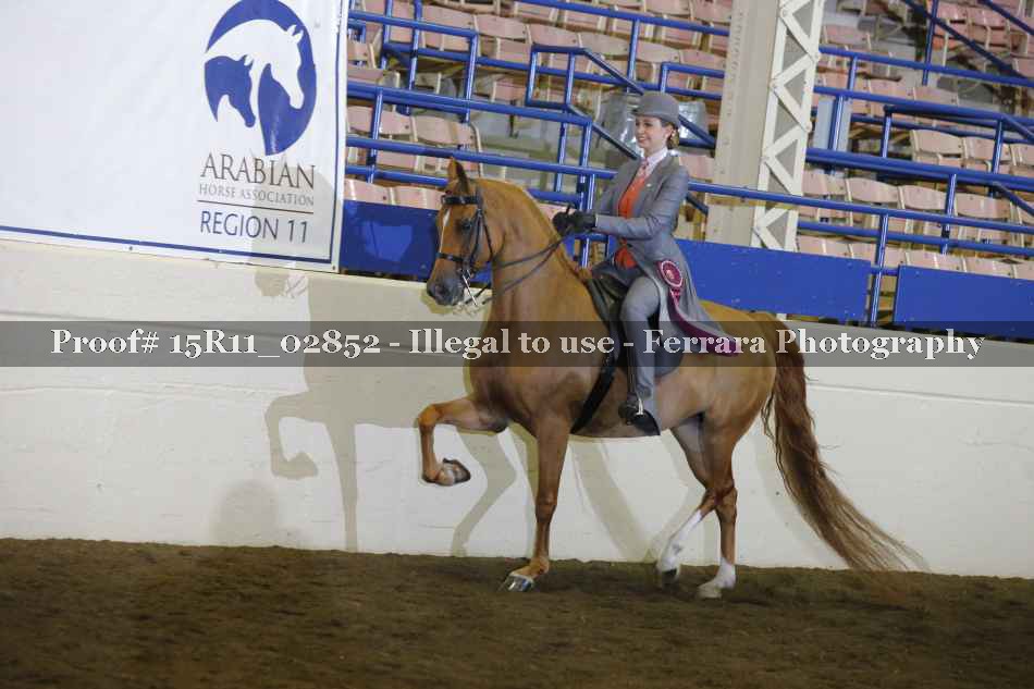 Proof Number 15R11_02852