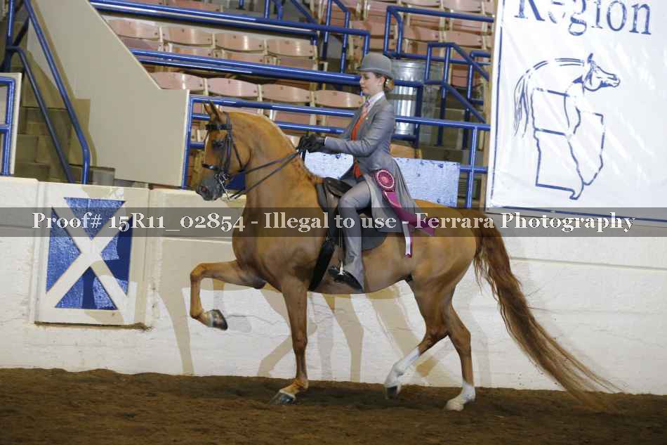 Proof Number 15R11_02854