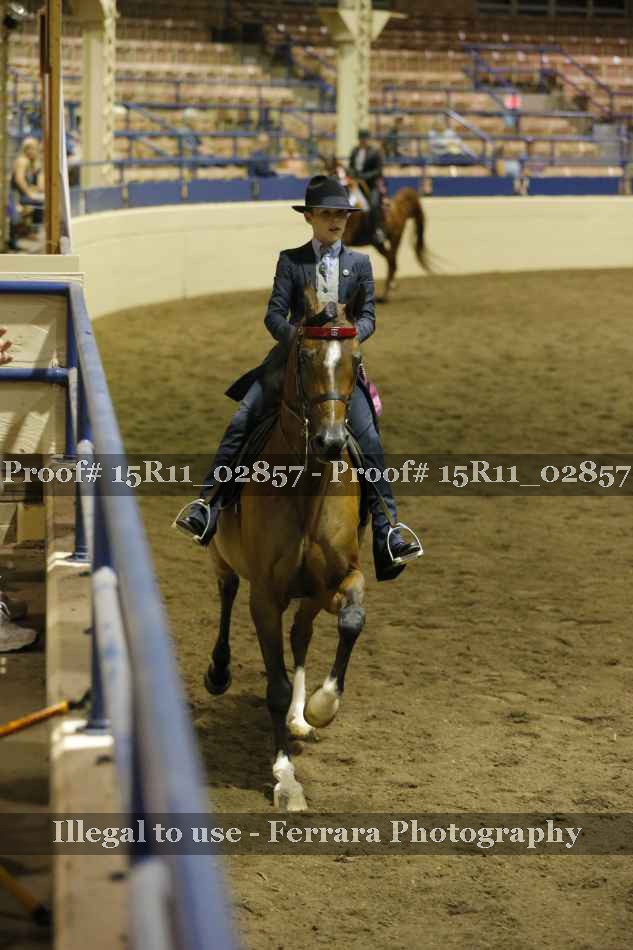 Proof Number 15R11_02857
