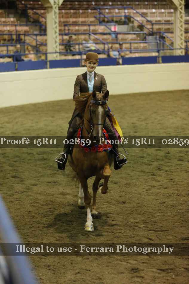 Proof Number 15R11_02859