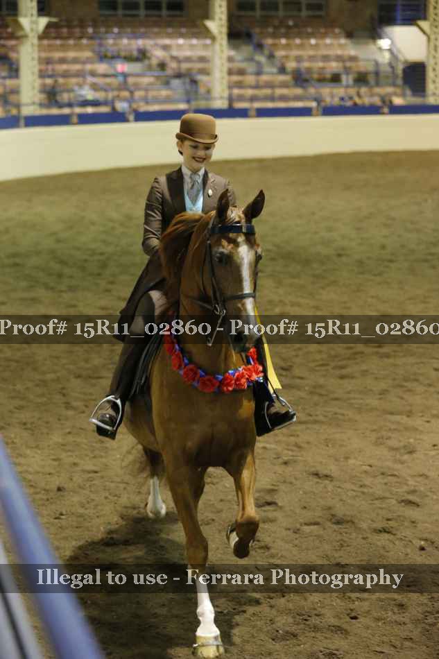 Proof Number 15R11_02860