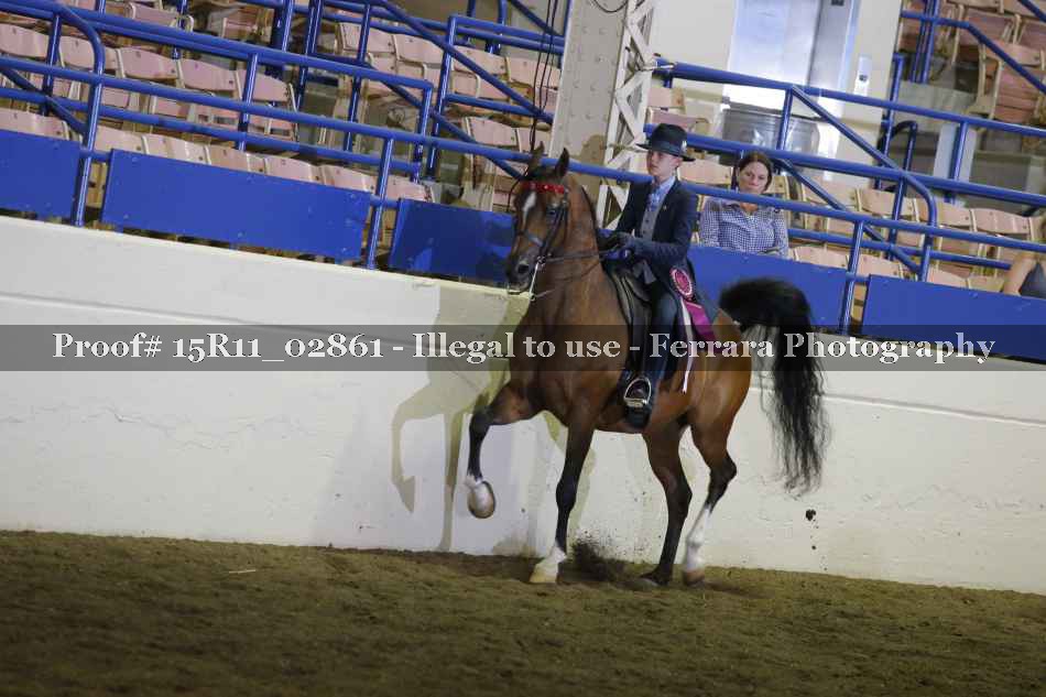 Proof Number 15R11_02861