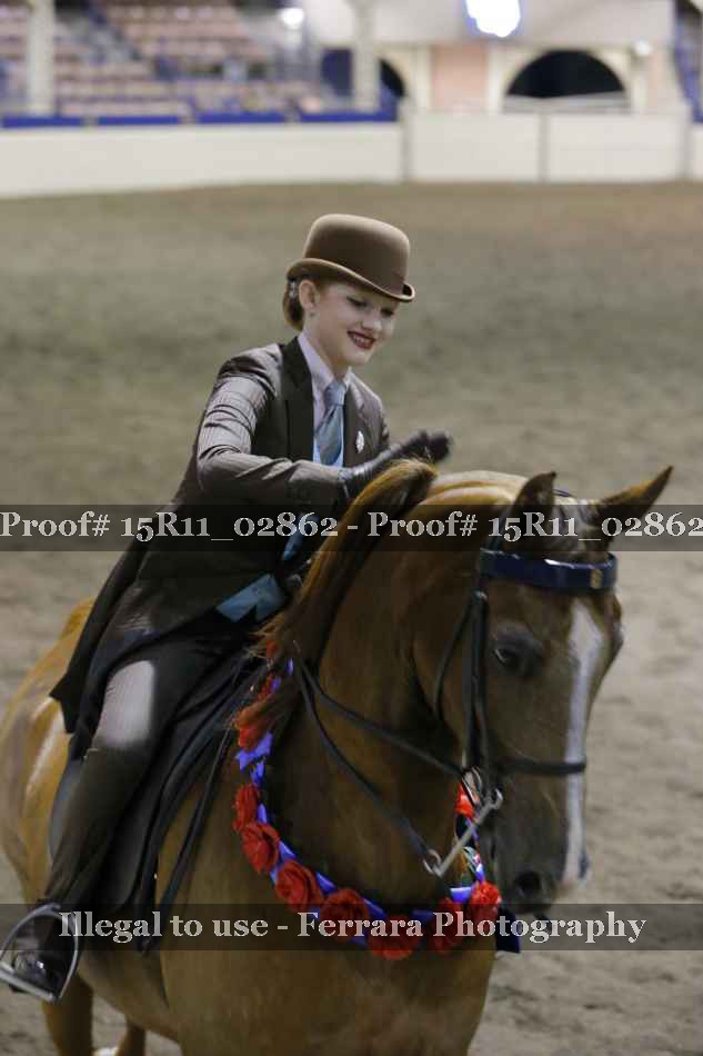 Proof Number 15R11_02862