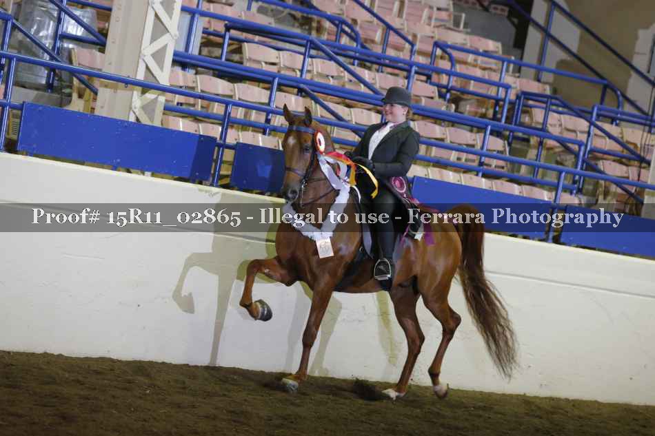 Proof Number 15R11_02865