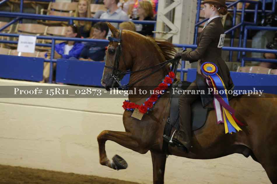 Proof Number 15R11_02873