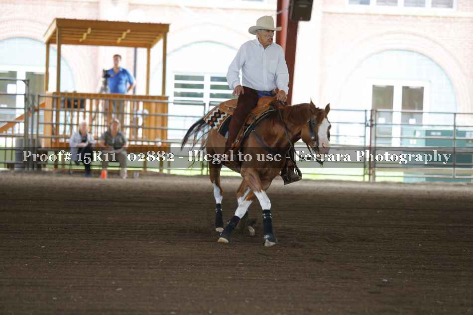 Proof Number 15R11_02882