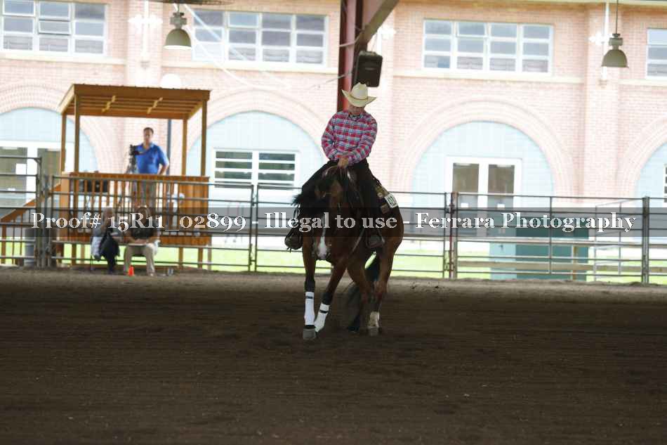 Proof Number 15R11_02899