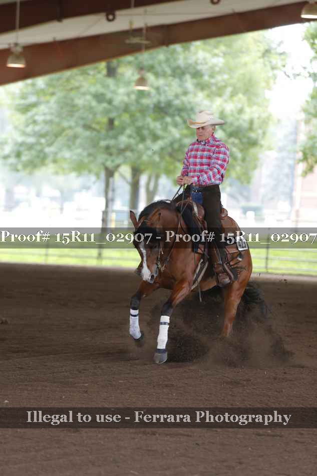 Proof Number 15R11_02907
