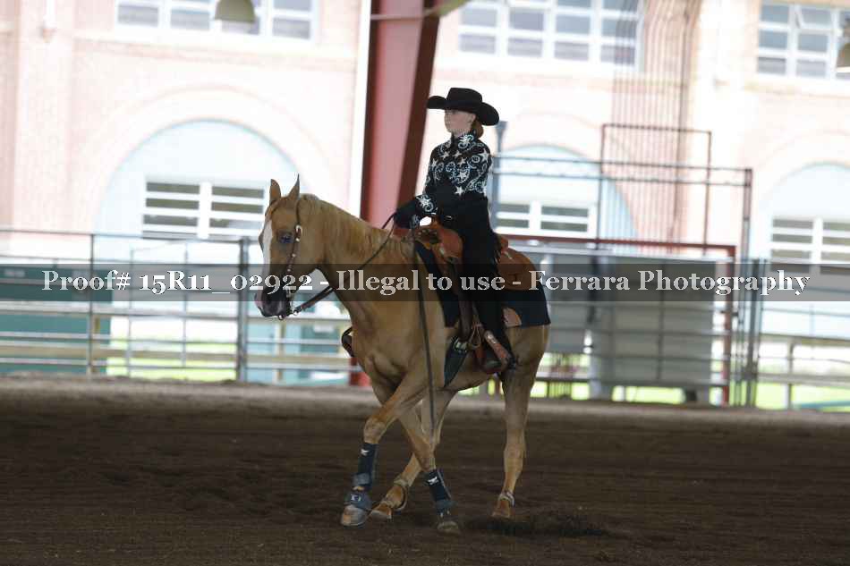 Proof Number 15R11_02922