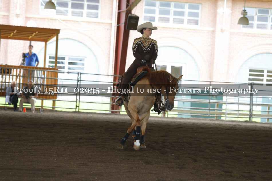 Proof Number 15R11_02935