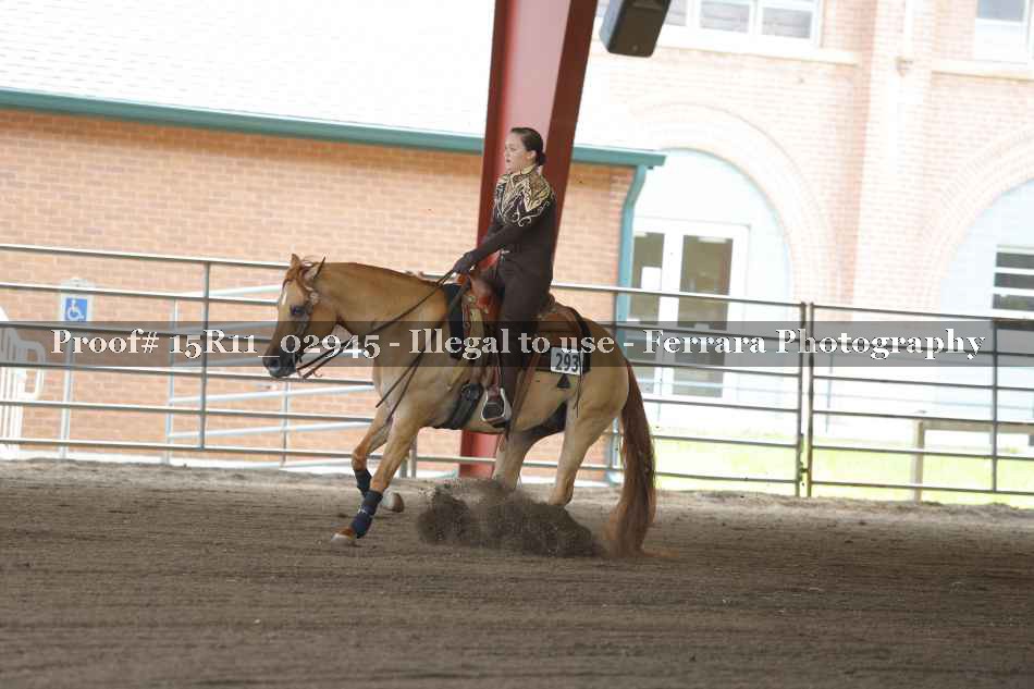 Proof Number 15R11_02945