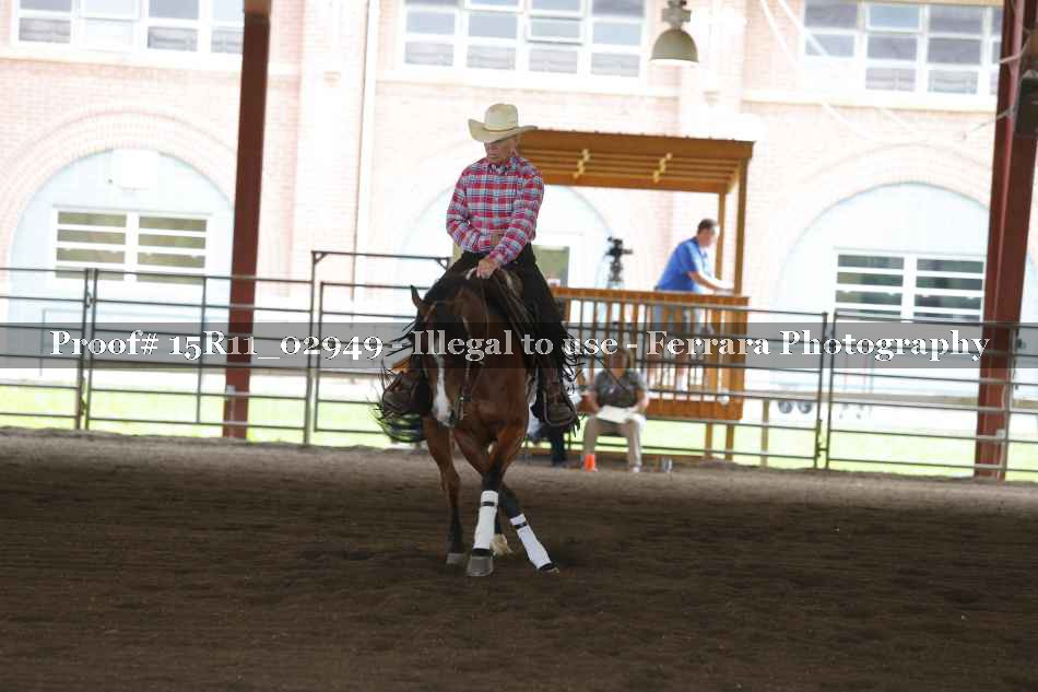 Proof Number 15R11_02949