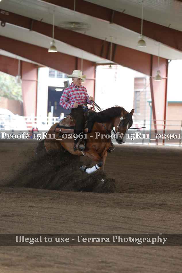 Proof Number 15R11_02961