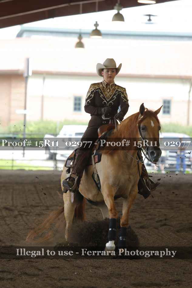 Proof Number 15R11_02977