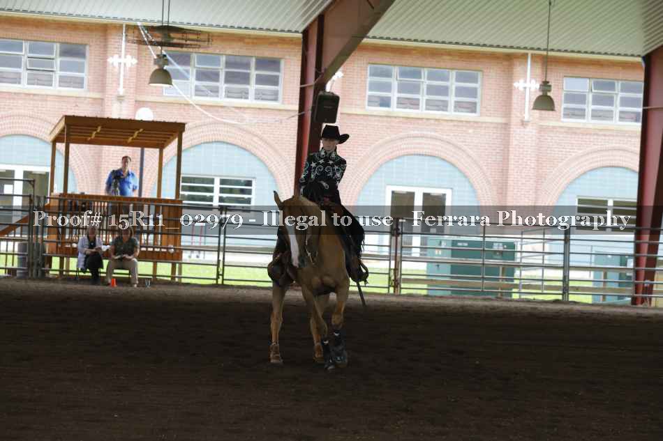 Proof Number 15R11_02979