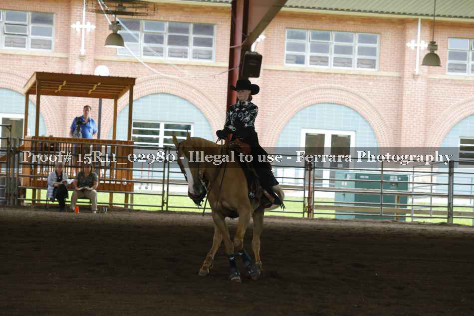 Proof Number 15R11_02980