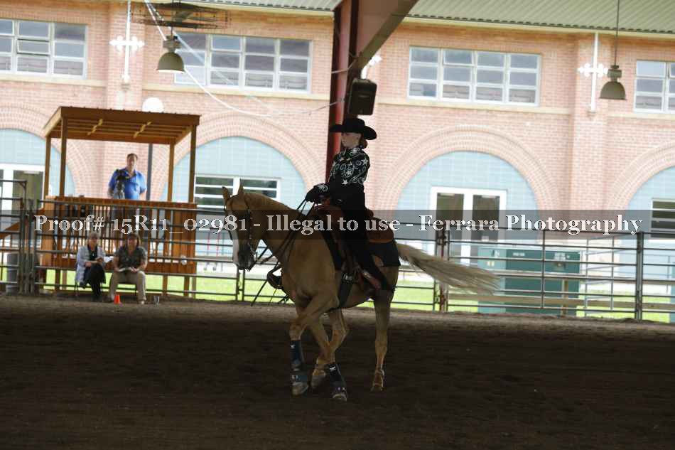 Proof Number 15R11_02981