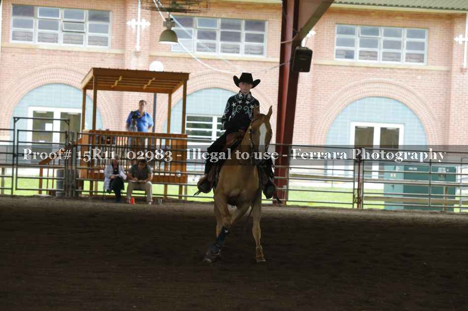 Proof Number 15R11_02983