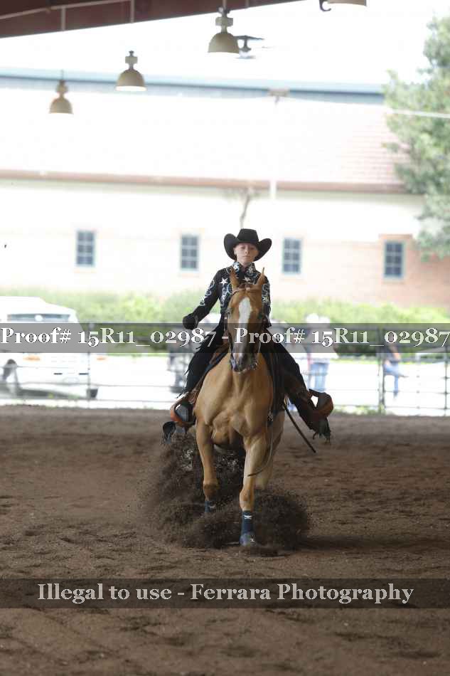 Proof Number 15R11_02987