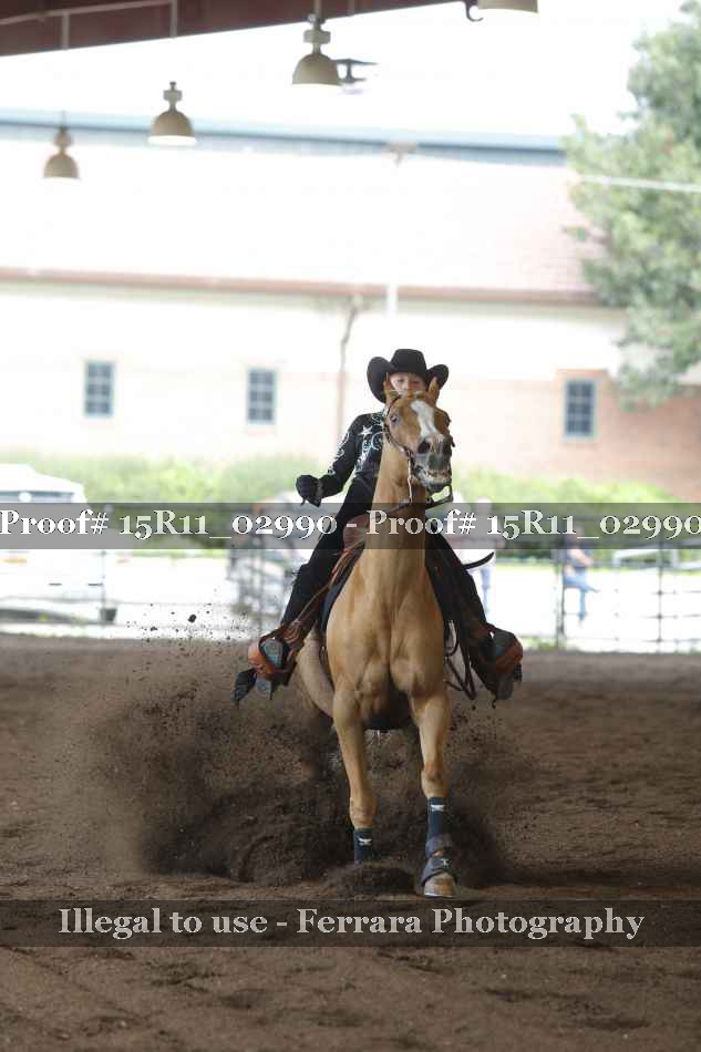Proof Number 15R11_02990