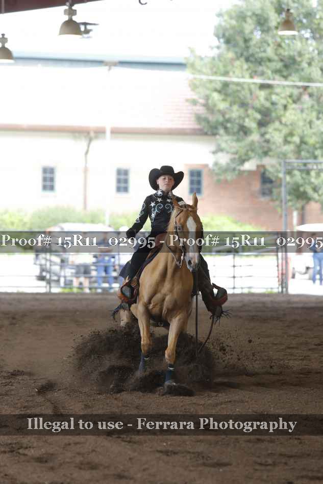 Proof Number 15R11_02995