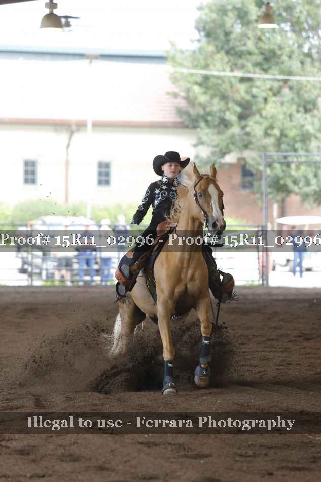 Proof Number 15R11_02996