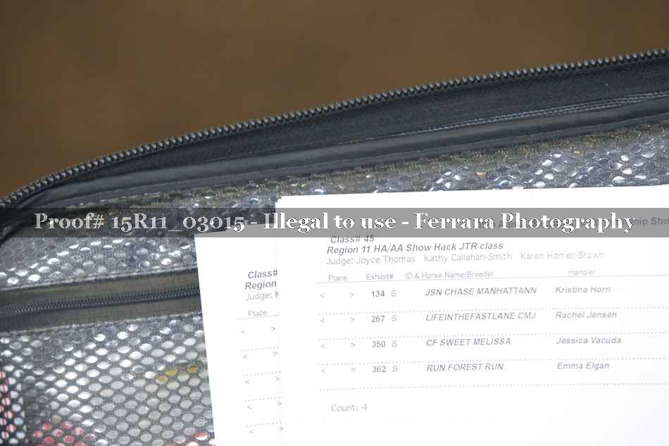 Proof Number 15R11_03015