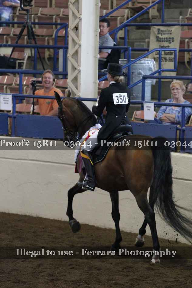 Proof Number 15R11_03044