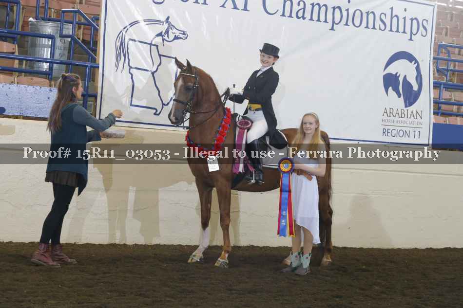 Proof Number 15R11_03053