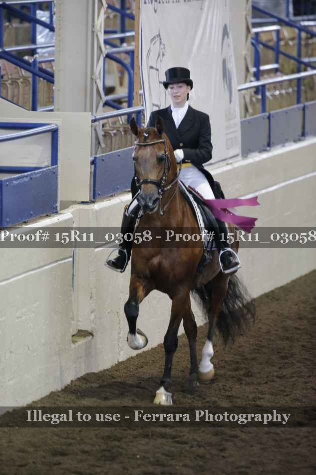 Proof Number 15R11_03058