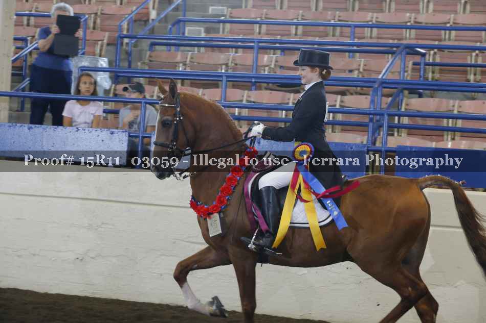 Proof Number 15R11_03059