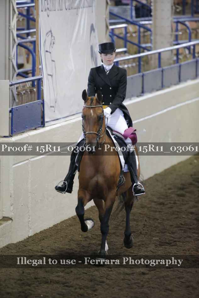 Proof Number 15R11_03061